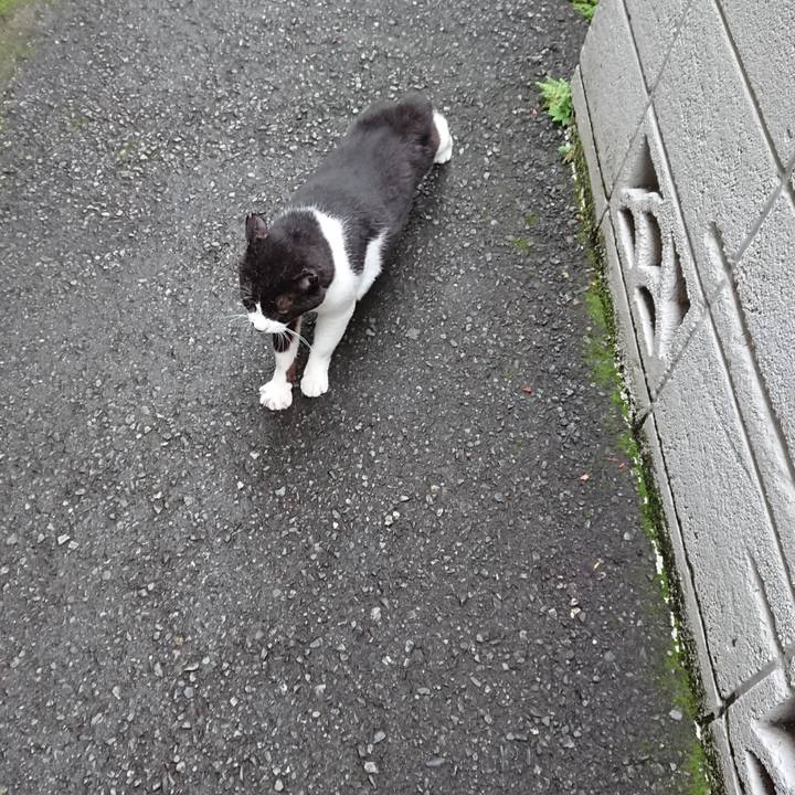 63df74fd 72f4 4289 a880 09a878c33d2f 1594281014256