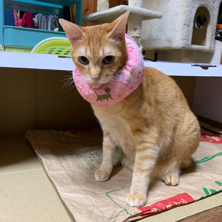 63df8277 7f86 415c a489 887bd6454885 1570788959748