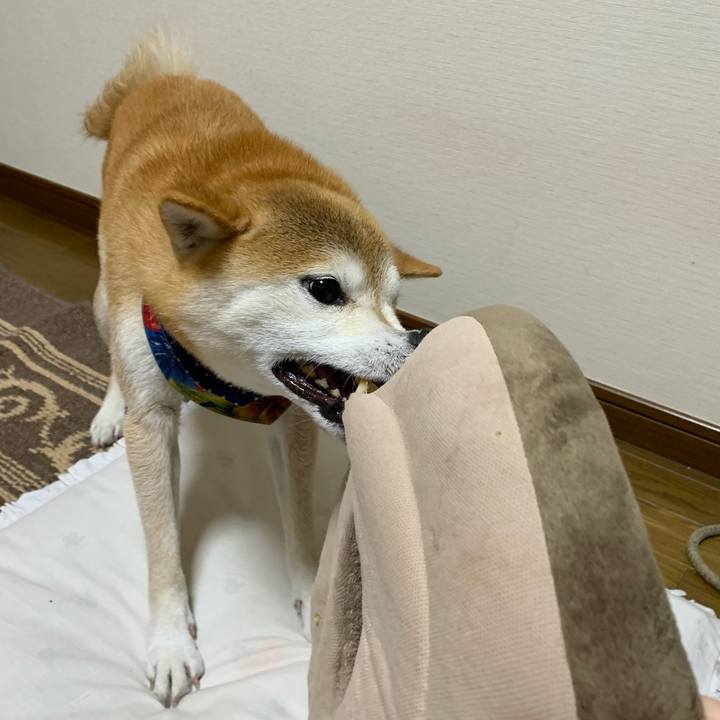 63df8d79 e16b 481c a0d5 3c63e087d475 1638874318385