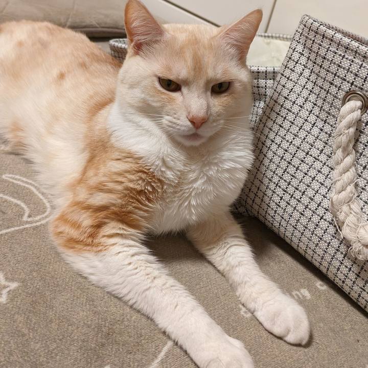 63dfc5dd 4bfb 43e9 8027 517d4eff92b1 1706188829792