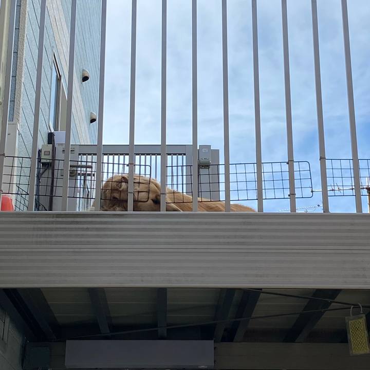 63dfd595 4f8f 4905 9886 8b810c2fe56d 1666515971663