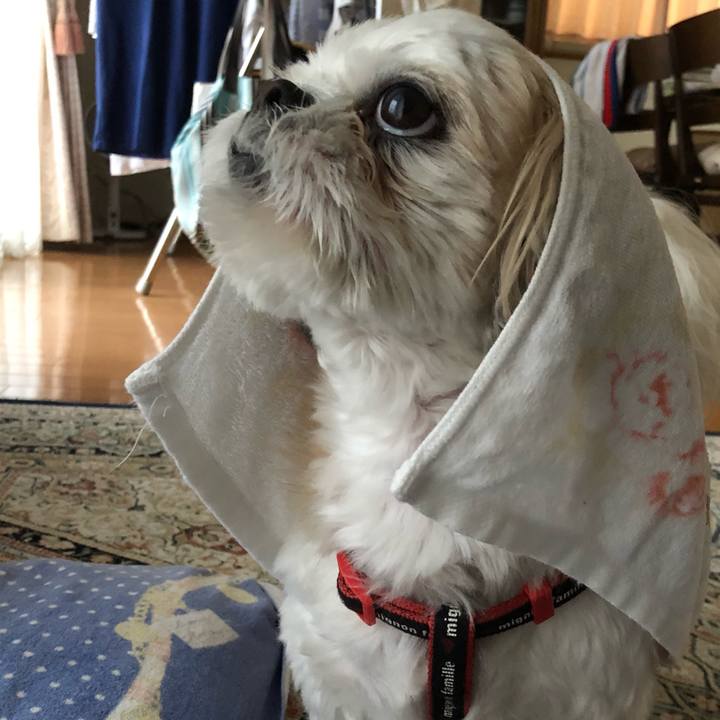 63dfdc0d f663 401f 8157 5f9661add1dc 1559684896898