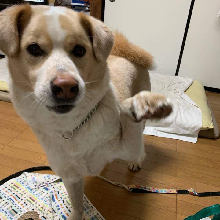 63dfdf9d 1803 4323 9e09 c6d2b6accb75 1559904095032