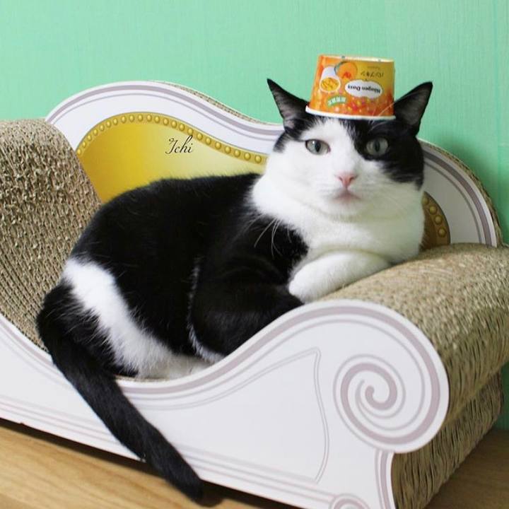 63dfe5ef 767c 45e6 b364 681a4b477112 1570189278902