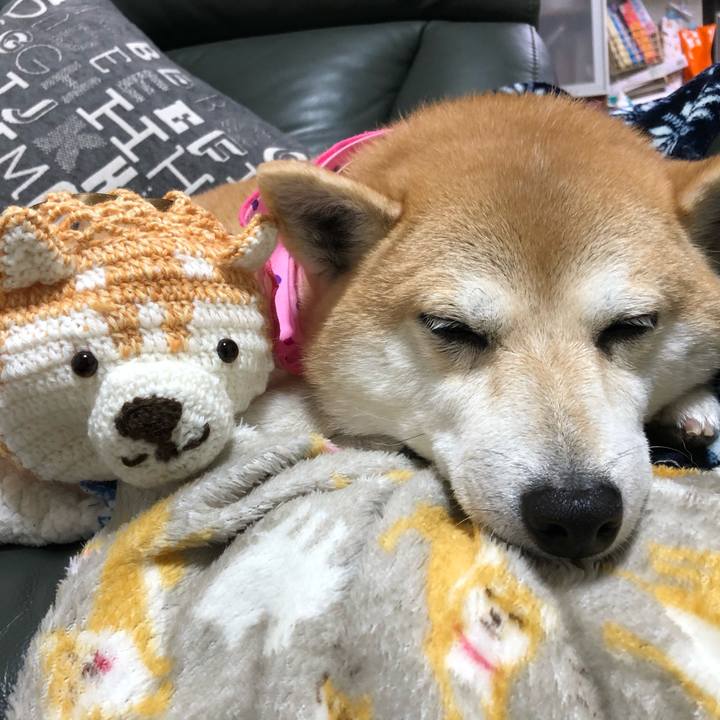 63dffabc f929 4355 a8c5 98aed3a35536 1604843275432