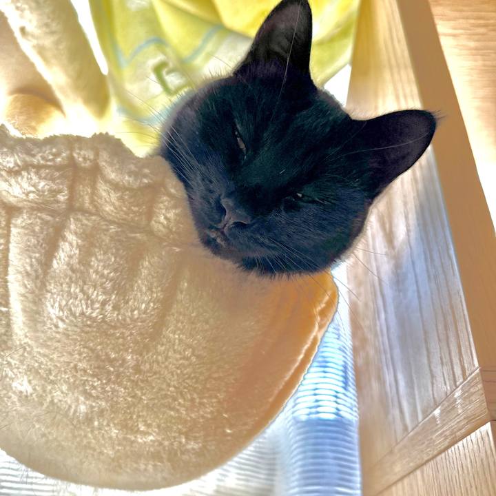 63e0378f 2d75 4f9d 8478 af4e7f4cf4cf 1766715540188