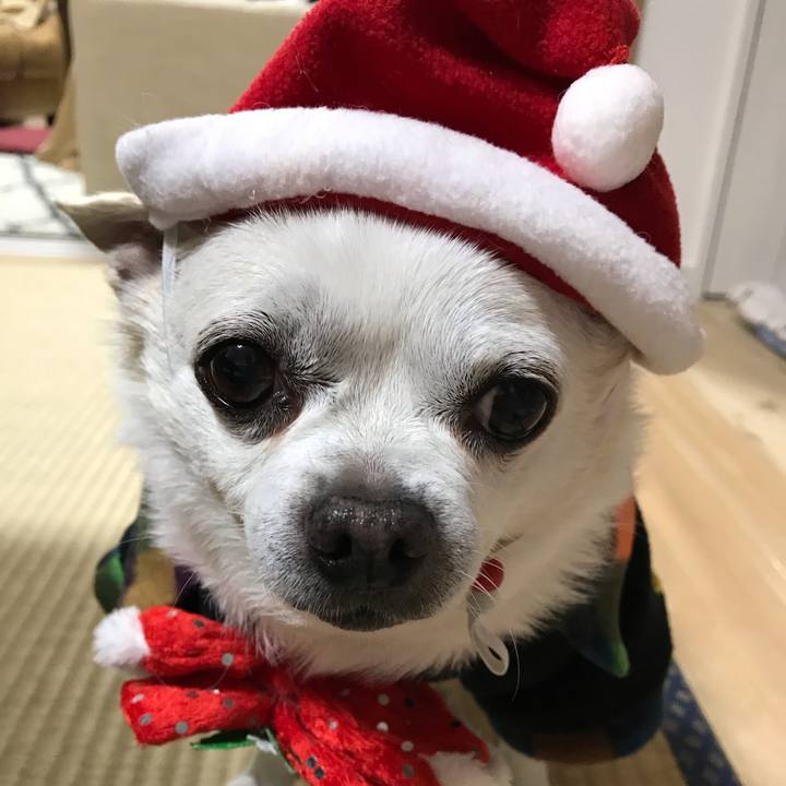 63e04e0a e5d8 46ea 8e92 183ec7c037c8 1608890598499