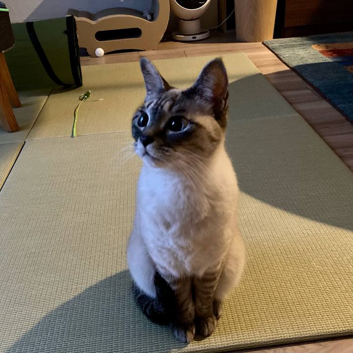 63e05e85 1340 4a0d 82a9 082e6e898194 1675756880259