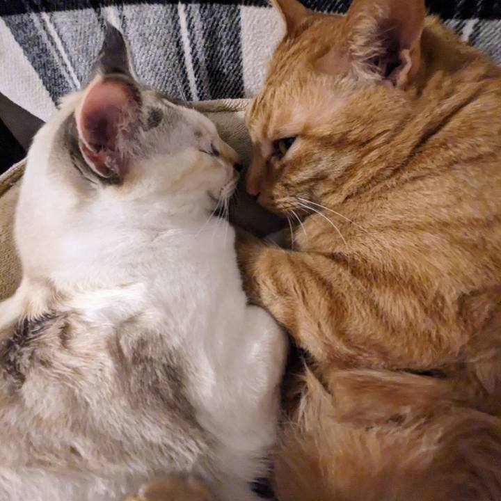 63e09f70 4fd1 4a79 80a4 b8b4902a6c62 1708516660754