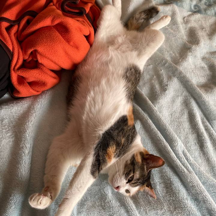 63e0bafb f612 47a7 b643 09105aade640 1631251923816