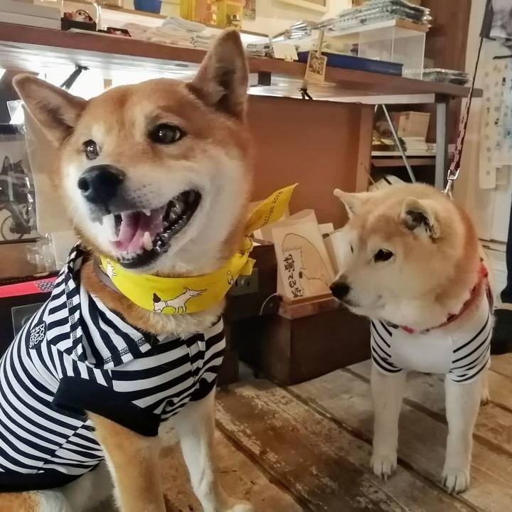 63e0e143 d70b 45b6 b365 a3d8c7e52daa 1618573690674