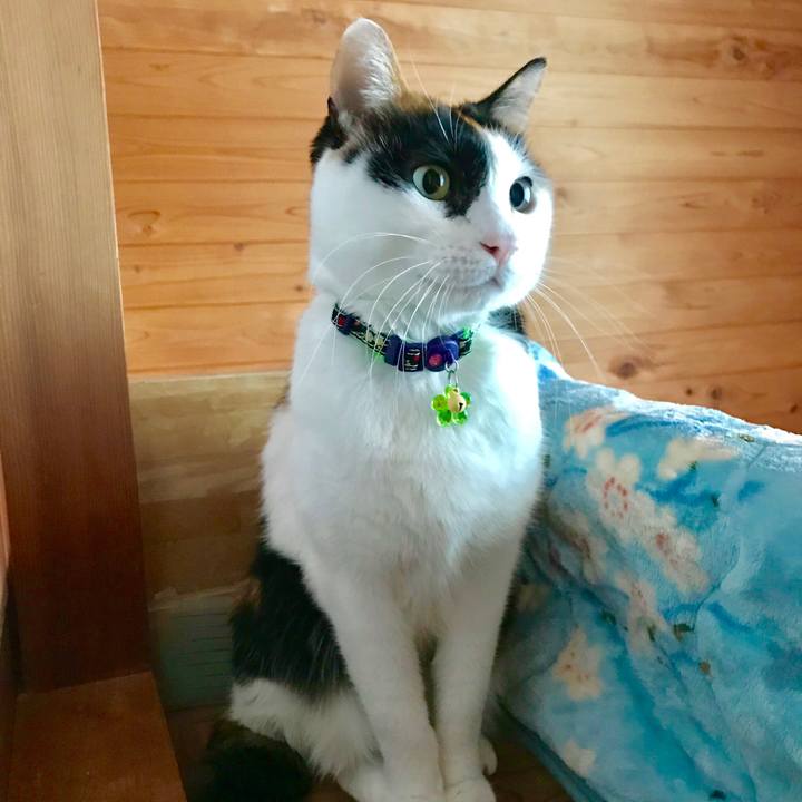 63e0edce cf70 439f afe5 d82b33528e99 1515460873577