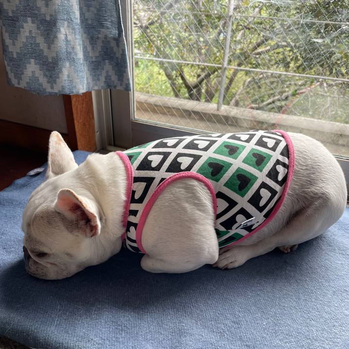 63e1190d 3c8e 4daf 85e9 0c0c888fa500 1755233992721