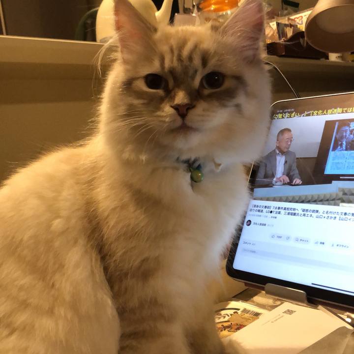 63e17cde e9ad 4ec0 903c 62a4d0b80a1e 1676040303023