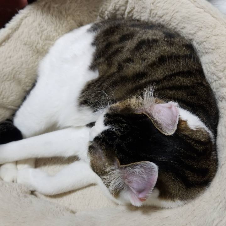 63e1b03c 53e4 42a5 8b3b 6b4a43a6f5ea 1582805396760