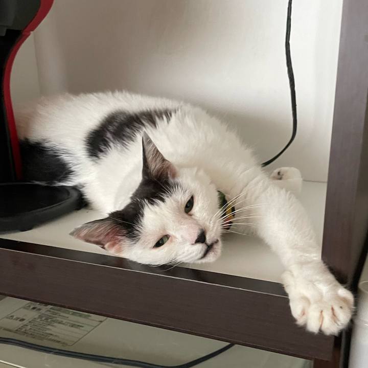 63e1b965 9ee8 45e6 a4bb c276004ae612 1659670799692