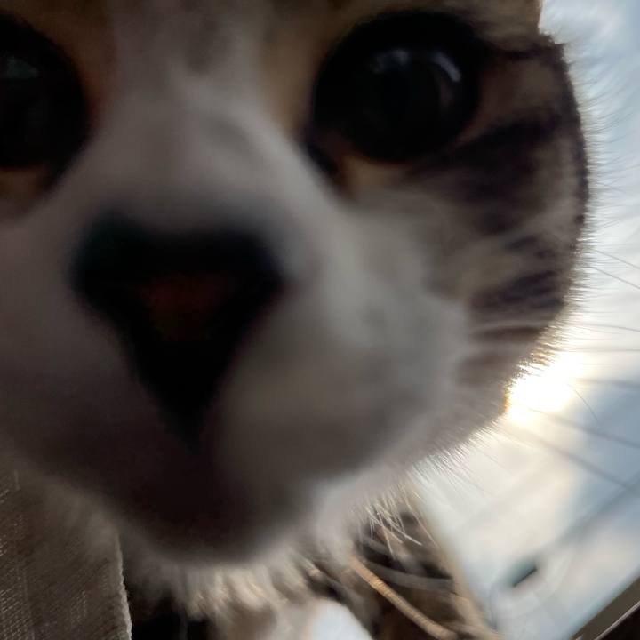 63e1ce6e b51d 47c4 b35d ad926f17b043 1706748060975