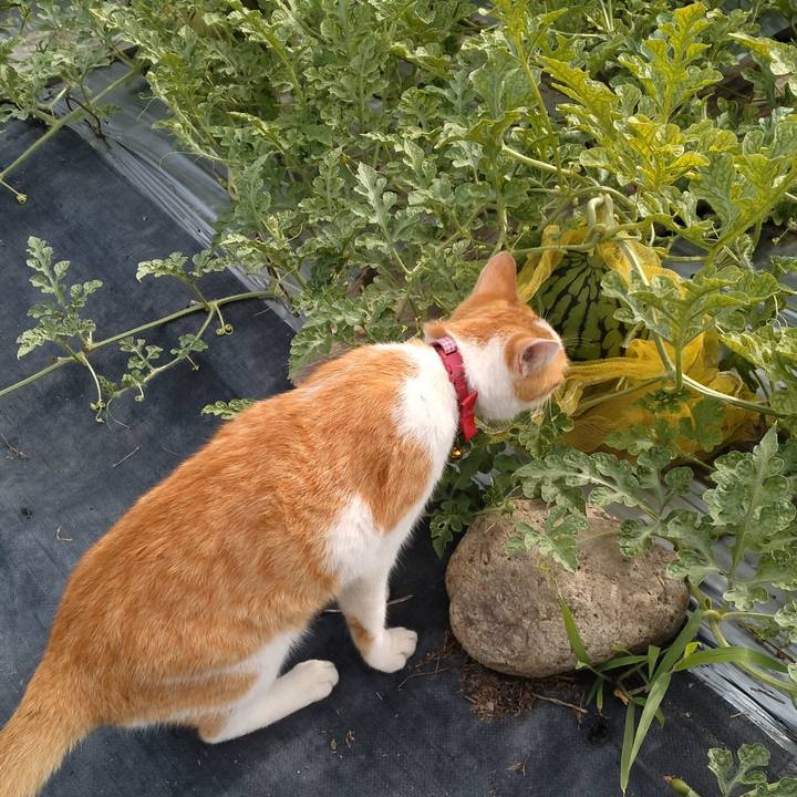 63e219fc cdd3 4f2e b03d 050181a36c19 1752743679715