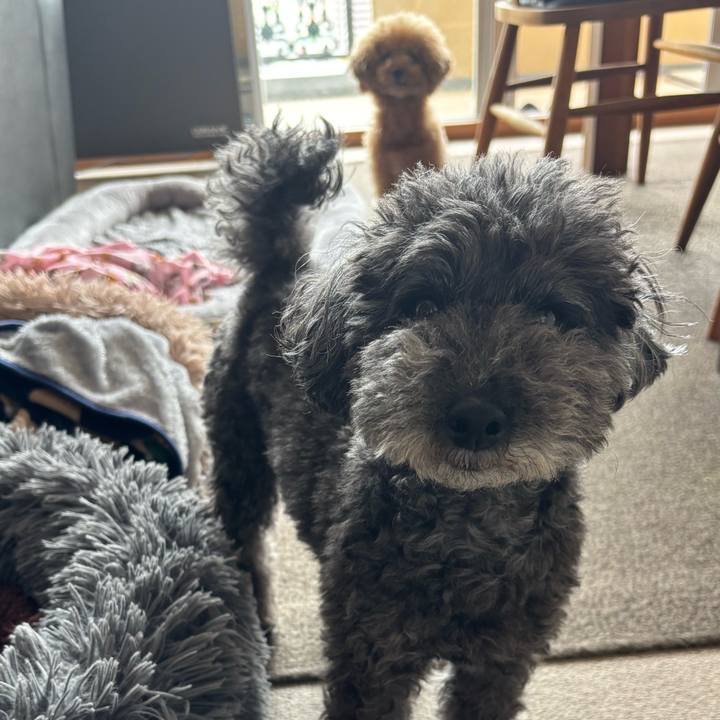 63e221d7 8490 4242 ac91 724ecb6d1ce5 1745292425794