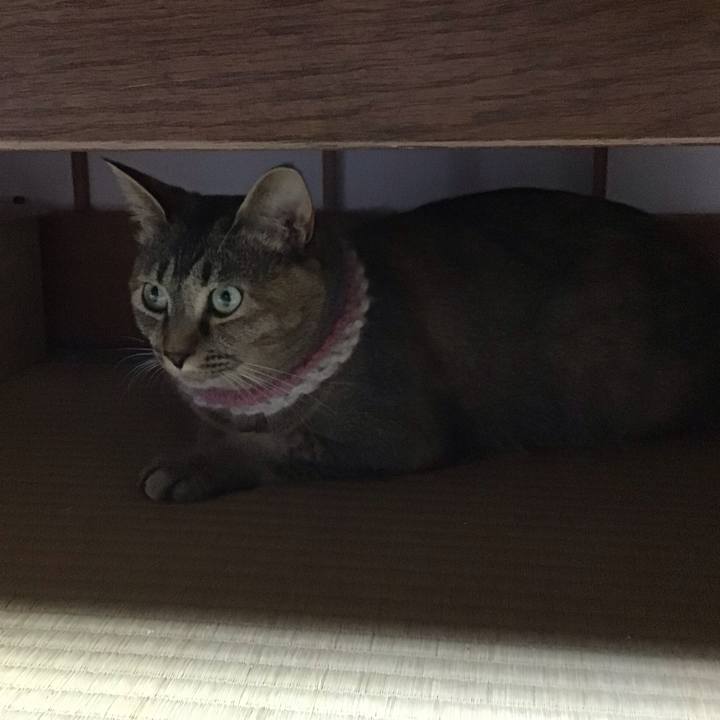 63e28149 8cb9 4683 b366 a844e7137db8 1627121255600