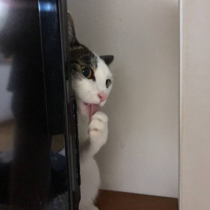 63e2a38f b8d5 4b72 ac10 49c6cf8a01f3 1622381634920