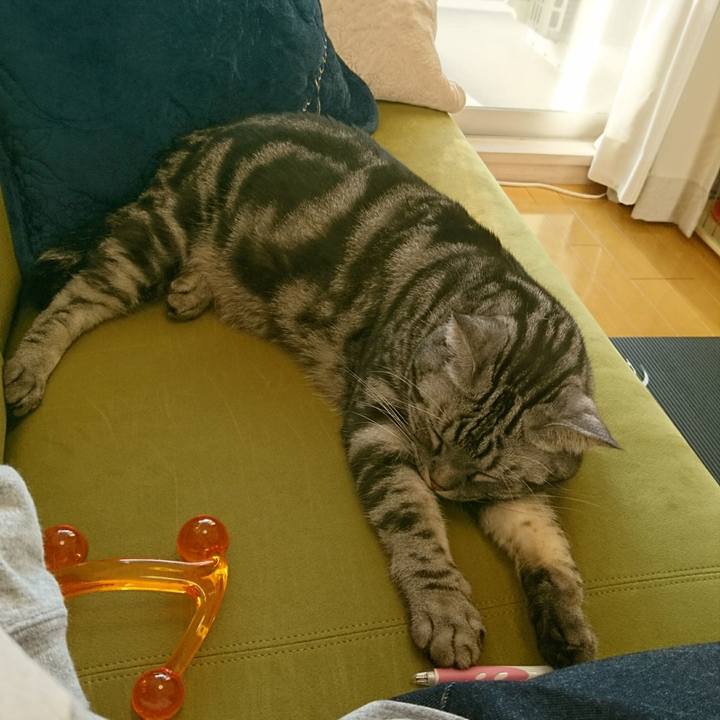 63e32076 0917 4060 a622 c5200dc8b900 1513575904248