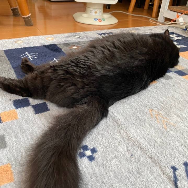 63e32375 7fba 4ee4 8b09 f12daa434a42 1608338972231