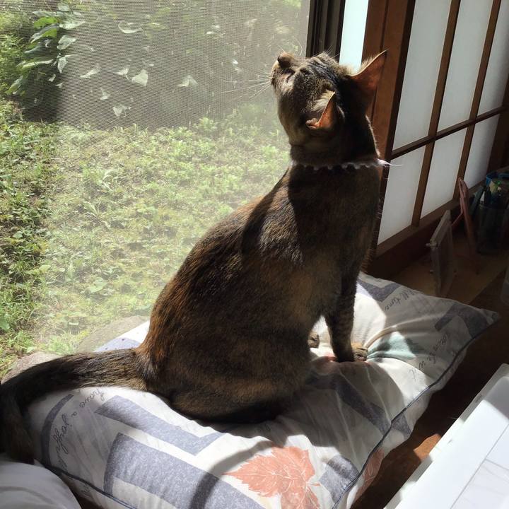 63e34778 3022 48e7 95d5 75b36f5f055e 1595725673263