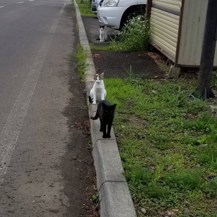 63e35f07 706f 4cb0 a512 ebf34eae1628 1564017084811