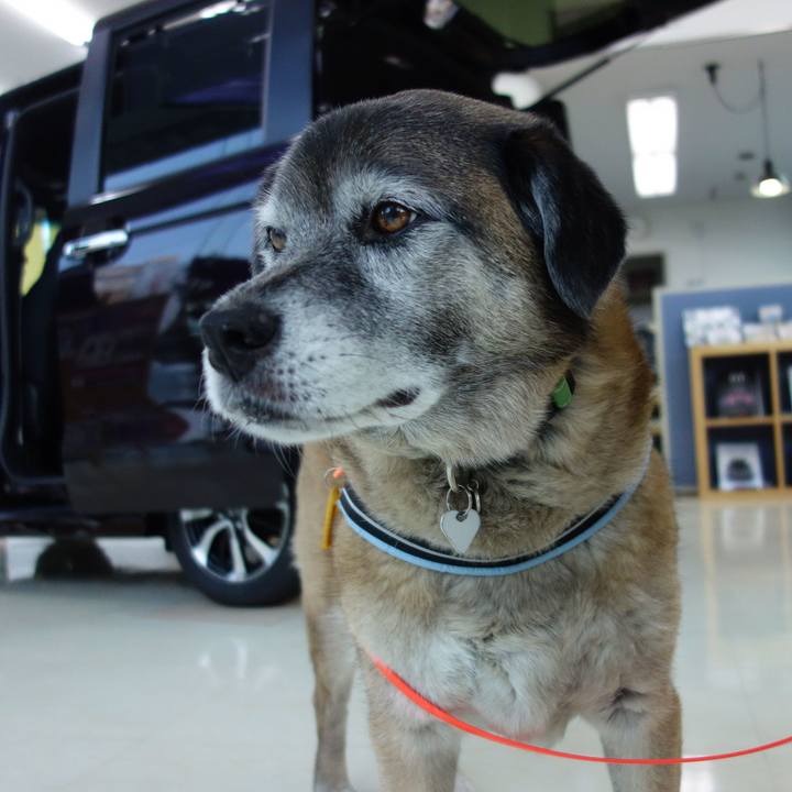 63e36f10 9dc1 4e91 948e 5e5feec8c1ef 1557573855112