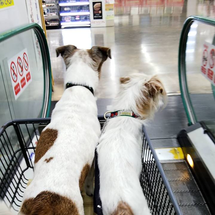 63e3986b 1b4e 488b 9e63 6c03953ea0e3 1559454736831