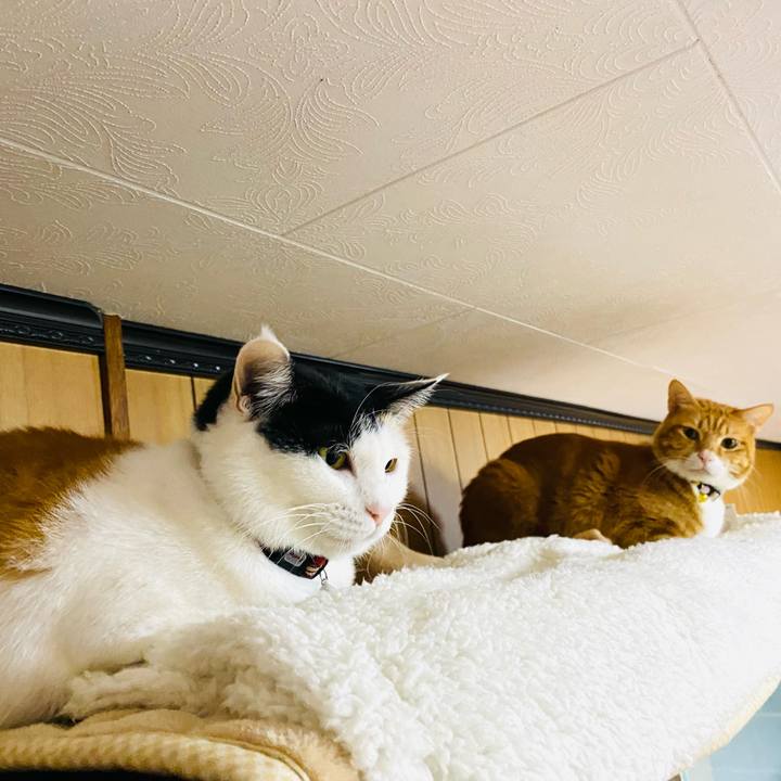 63e3a6f0 63b2 4284 a3e0 8df740707057 1670970078997