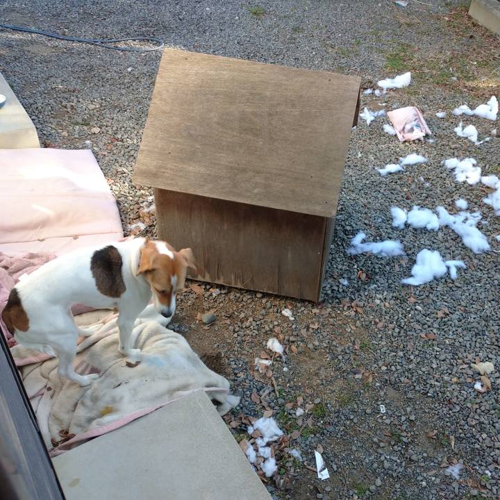 63e3abe7 c284 454c 923b 5c9baf876751 1580362824324