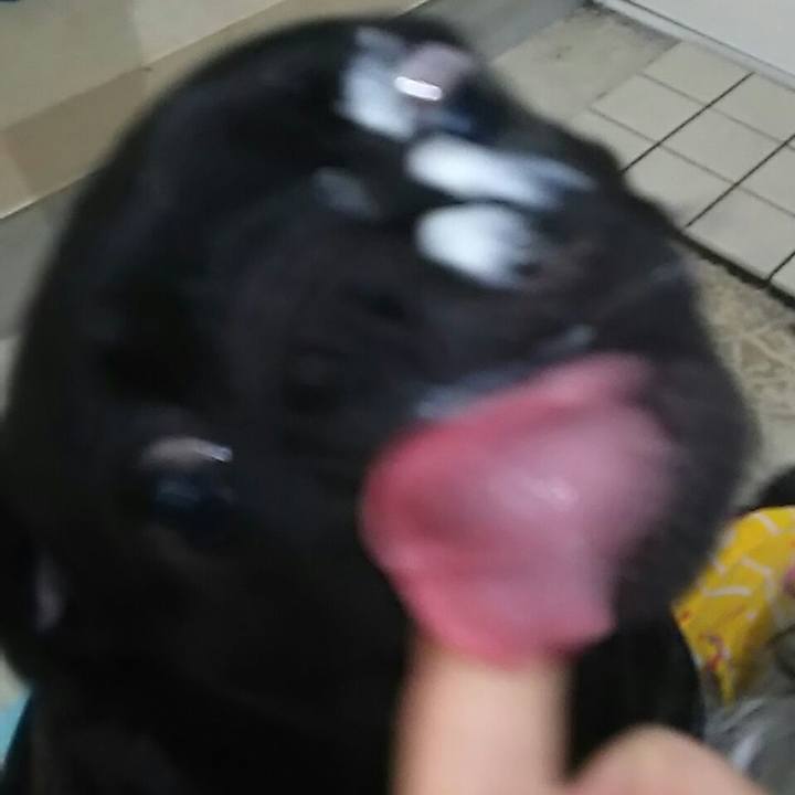 63e3e95e bad4 4b1a 992d 389e8b2c4e7d 1548742935205