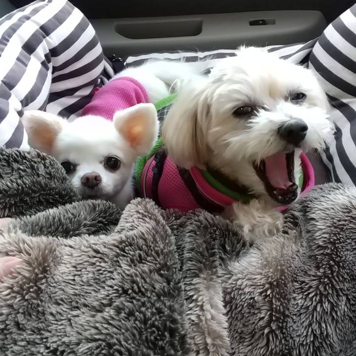 63e3eb26 1f58 467f 89ff 534724f49bb8 1605642567957