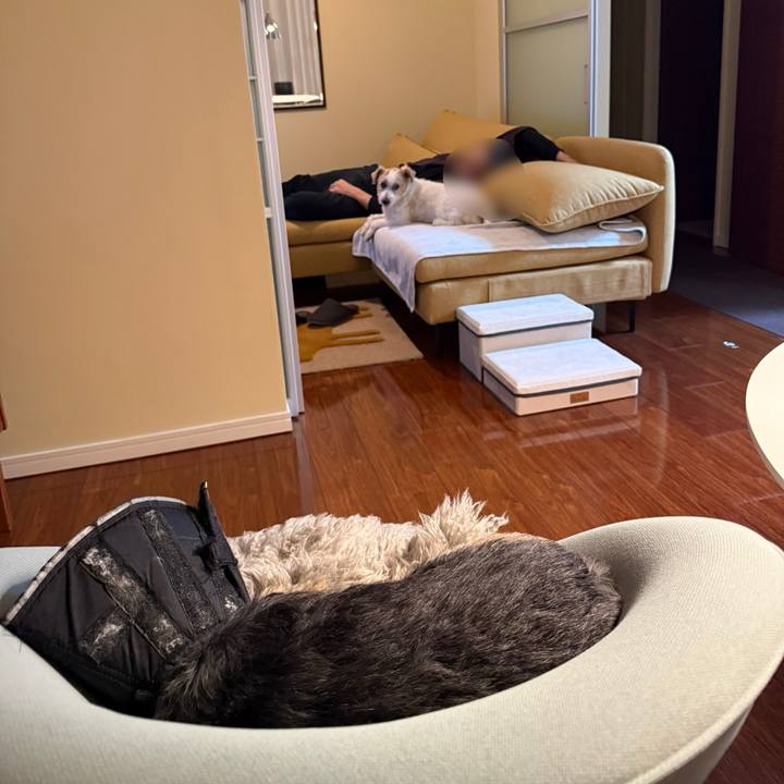 63e414aa 38a6 40ea a54f 3c945ebd97fd 1770980277246