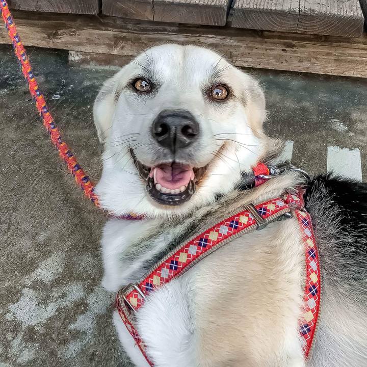 63e41814 a5d6 48d7 ab8d 17b28606f2af 1526205921242