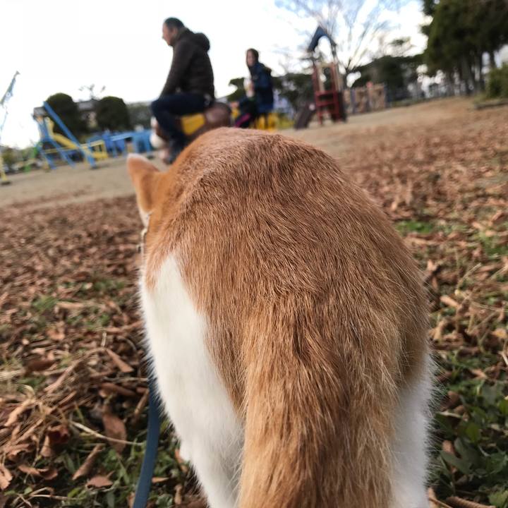 63e43ef0 3145 4a62 8e2f a7f0eb9bc530 1511691550584