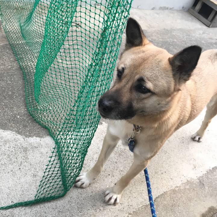 63e453b6 99d5 4dfa b60c 7e713821a255 1519042430764