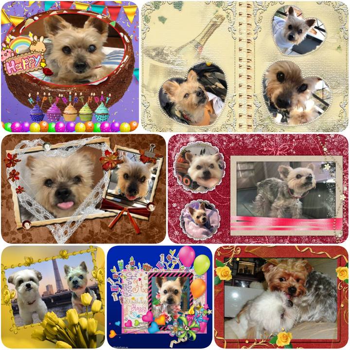 63e45715 7f9a 42c5 a1b8 c3166db391c6 1626553483976