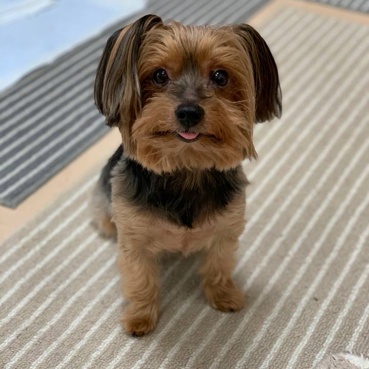 63e45d60 a903 470d bb4c f1aa6a880645 1598150526350