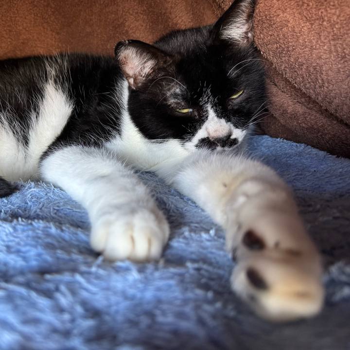 63e466f3 f0fa 40d5 bd2a 5d8ee47ad3fb 1763083956864