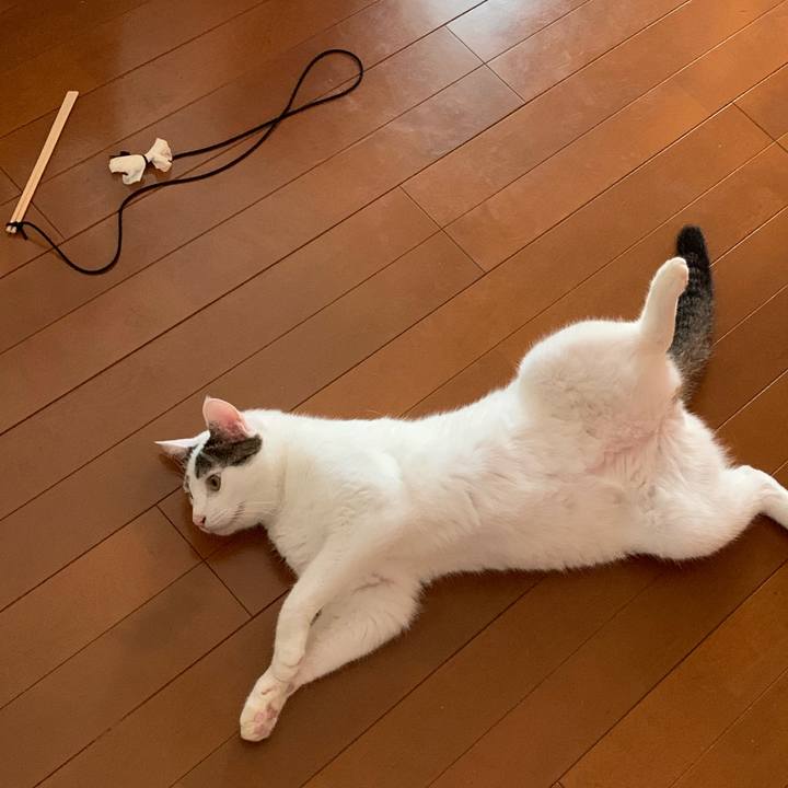 63e47106 663d 4031 a51b 1494c7a6bfcf 1629600306282