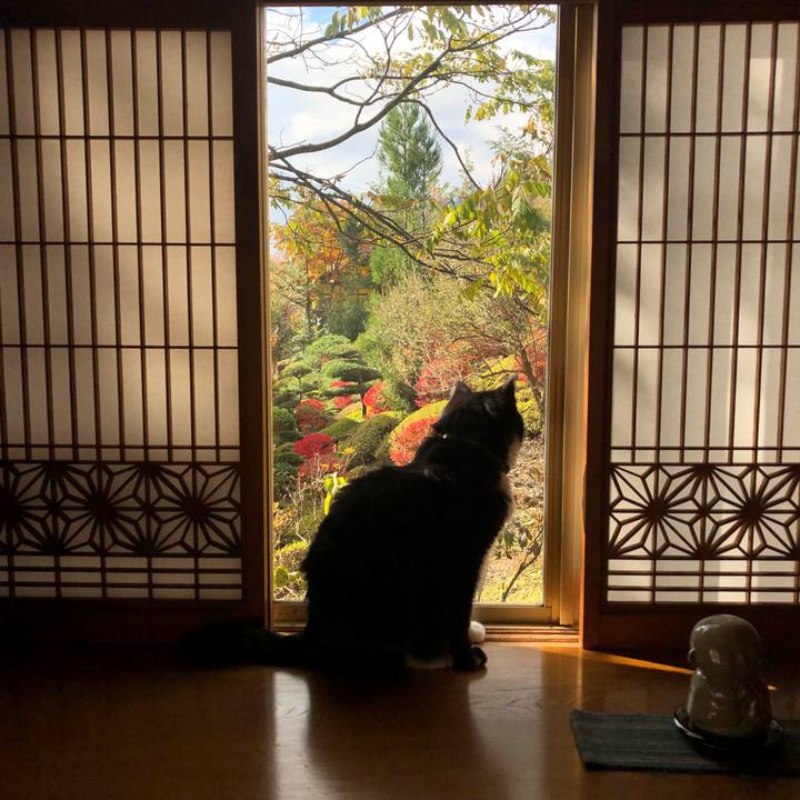 63e4718a bf18 4b66 9f4a 54e786825efa 1541541972133