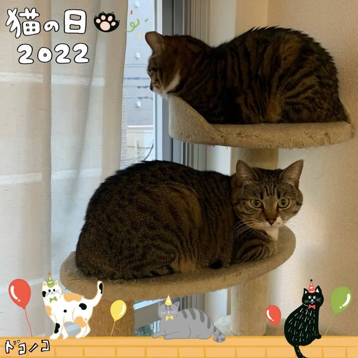 63e47561 5306 48da b953 e8b895045a21 1645539571600