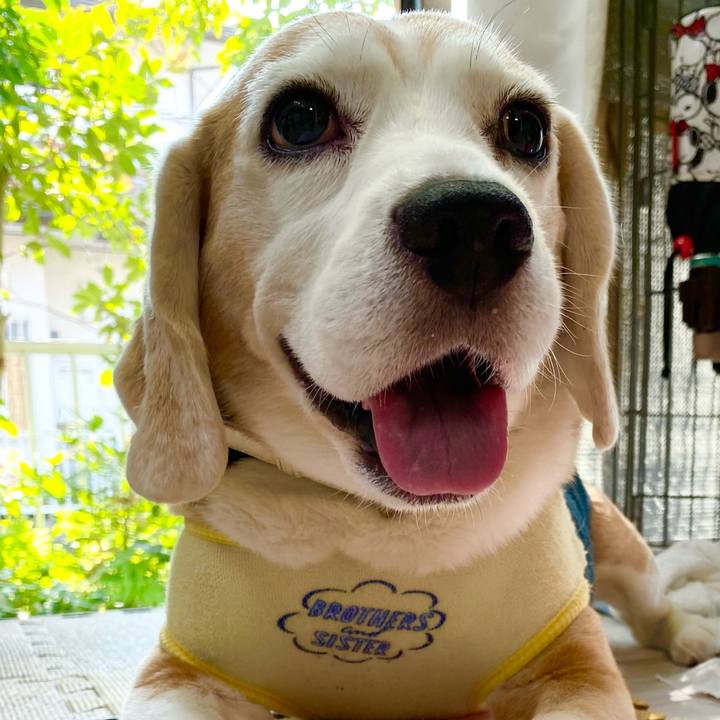 63e4b3a3 1507 4e38 ba45 49e0f23b00ed 1632541595271