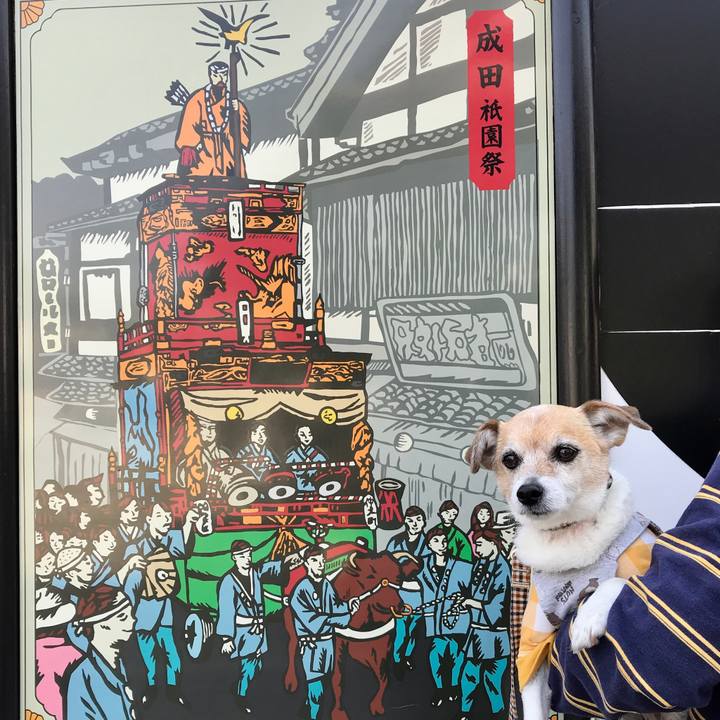 63e4c43b 1566 4ee4 963e 5ca0345c1531 1646478136206