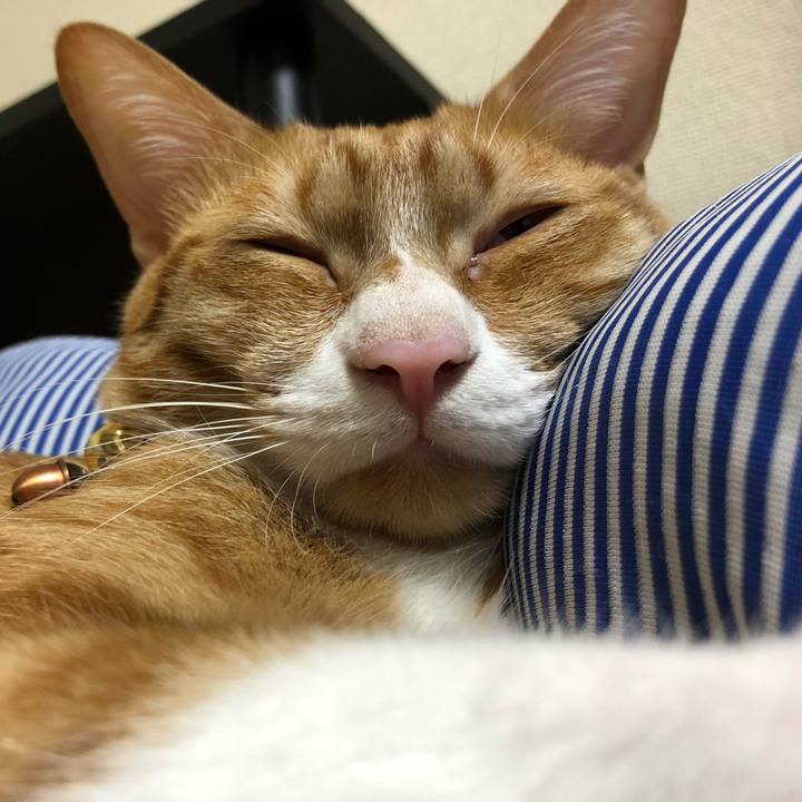 63e4d2e4 5659 4663 b824 8e0c4fb6895d 1568463116178