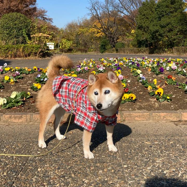 63e4ed72 e122 494a 97bf 859f1f287115 1701151962285