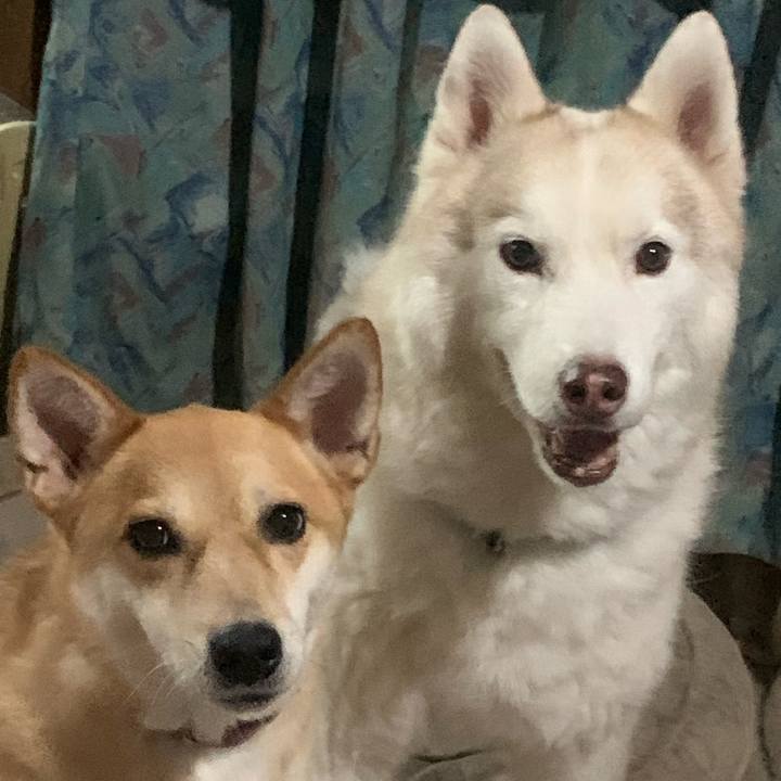 63e5060f d363 4e63 a653 724d1a60d146 1722138270698